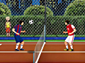 Hra Fotbalový tenis - zlatý mistr 