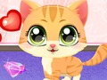 Hra Kitty Fun Care