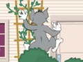 Hra Tom a Jerry: Wasserbomben Wahnsinn 