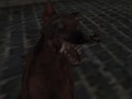 Hra Nacistické zombie armády 