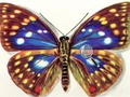 Hra Rozdíly Butterflies 
