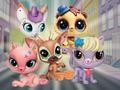 Hra Little Pet Shop: Schovávaná 
