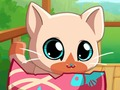 Hra Můj Pocket Pets Kitty Cat 
