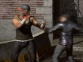 Hra Raging Punch 3d