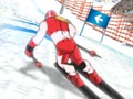 Hra Zimní sporty: Slalom Hero 