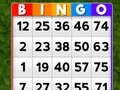 Hra Bingo