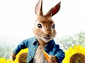Hra Peter Rabbit: Potíže v bludišti 
