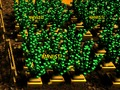 Hra Pixel Farm