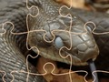 Hra Tajemní hadi: Puzzle 