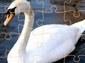 Hra Swan Puzzle Challenge