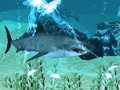 Hra Shark Hunter 2