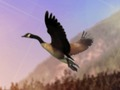 Hra Duck Hunter