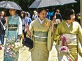 Hra 100 motýlů v Japonsku 