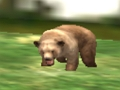 Hra Safari Animal Hunter
