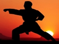 Hra Karate Sunset Warriors