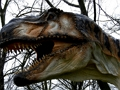 Hra Skládačka T-Rex Dinosaur 