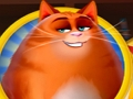 Hra Kitty Scramble