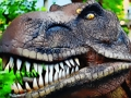 Hra Skládačka Tyrannosaurus Rex Carnivore 