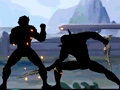 Hra Shadow Fight Combat