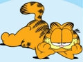 Hra Sbírka skládaček Garfield Jigsaw