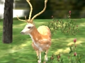 Hra Animal Safari Hunter 2020