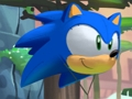 Hra Sonic Basket Adventure