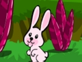 Hra Hopping králíka úniku