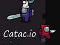 Hra Catac. io 