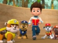 Hra Skládačka Paw Patrol 