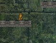 Hra Bunny Adventure 