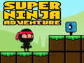 Hra Super dobrodružný ninja 