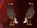 Hra Pekin Duck Escape