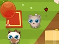 Hra PET ROUND-UP
