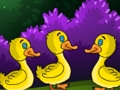 Hra Duck Land Escape 2