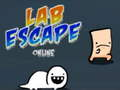 Hra Laboratorní útěk online