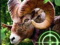 Hra Crazy Goat Hunter 2020
