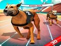 Hra Crazy Dog Race