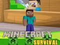 Hra Přežití Minecraft