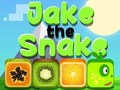 Hra Jake The Snake