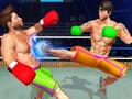 Hra Kulturista Ring Fighting Club Wrestling 