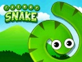 Hra Frenzy Snake