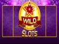 Hra Divoký slot 