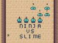 Hra Ninja vs slime