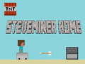 Hra Domov Steveminer 