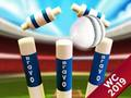 Hra Mini Cricket: Ground Championship World Cup 2019