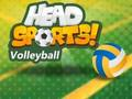 Hra Hlavní sportovní volejbal 