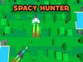 Hra Space Hunter 