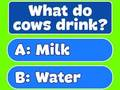 Hra Trivia Nejlepší rodinný kvíz 