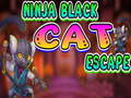 Hra Útěk černé kočky Ninja 