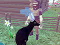 Hra Simulátor jelena 3D 